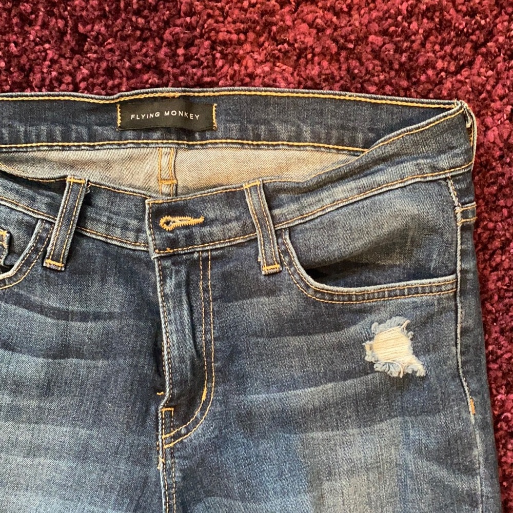 Flying Monkey Ripped Skinny Jeans